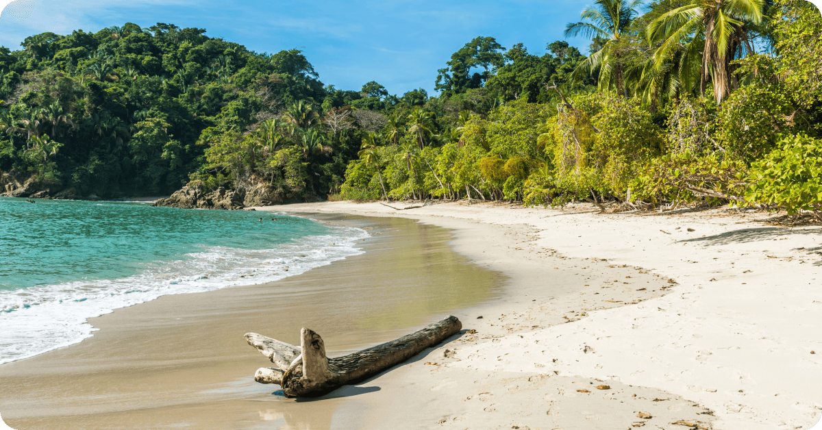 Costa Rica in summer.