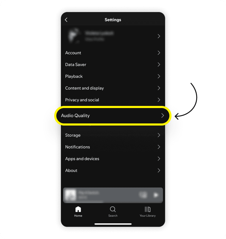 How to download Spotify music for offline listening: step 1