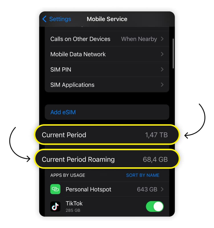 current period roaming