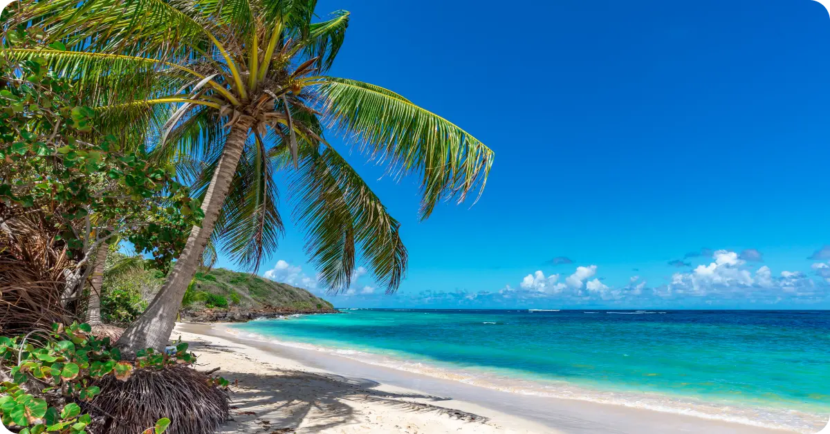 Puerto Rico during spring.