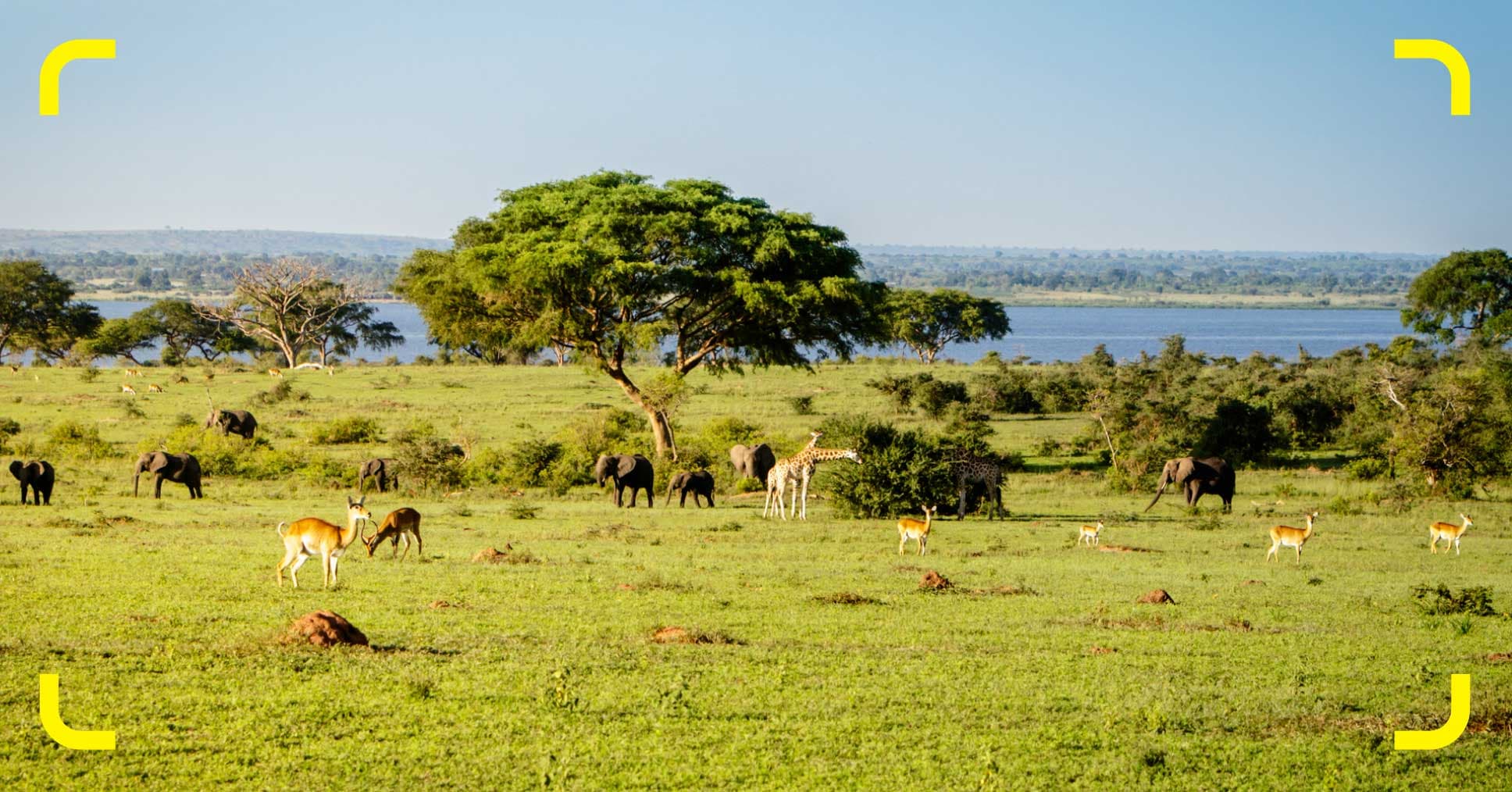 The 20 best things to do in Kampala in 2025