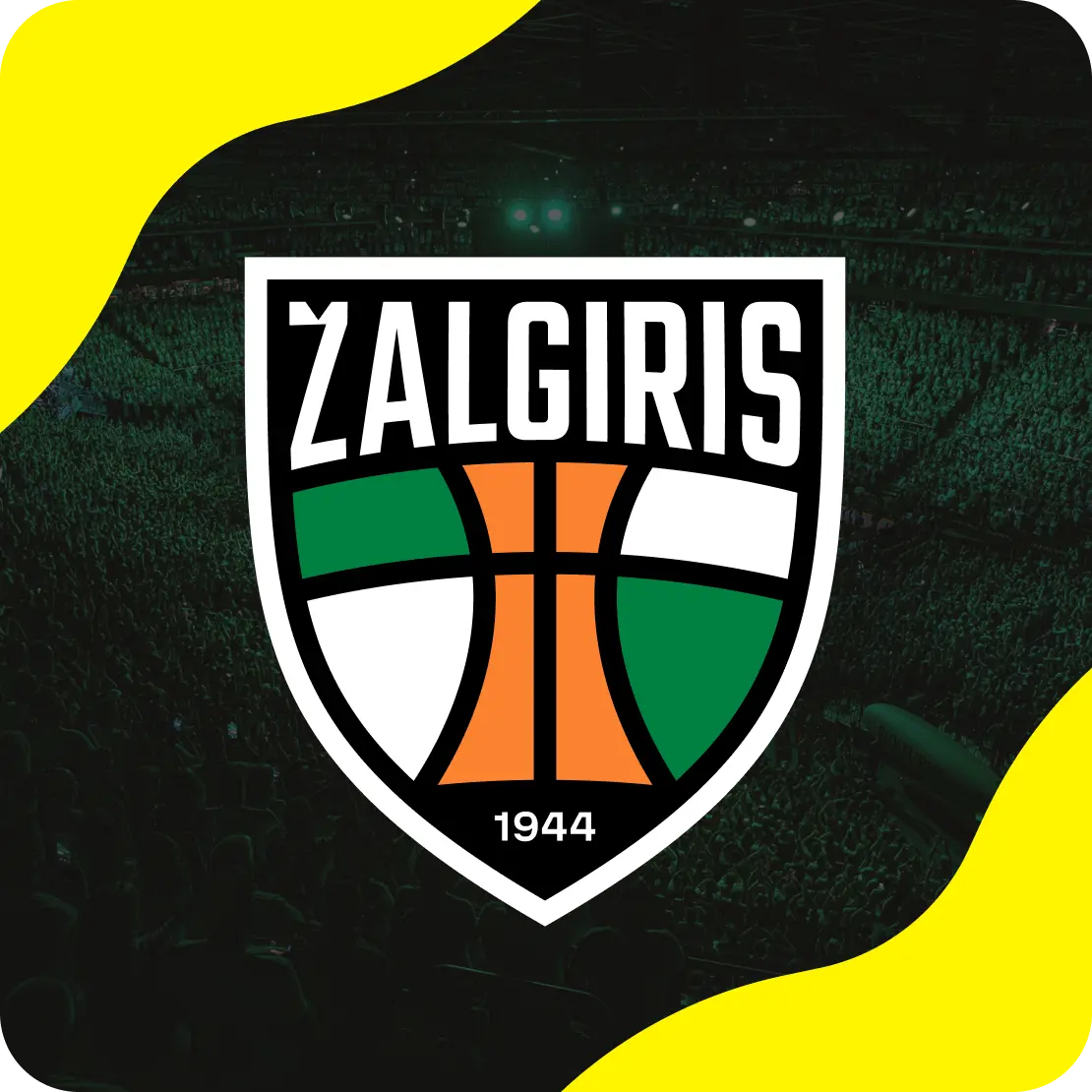 hero basketball zalgiris ambassadors