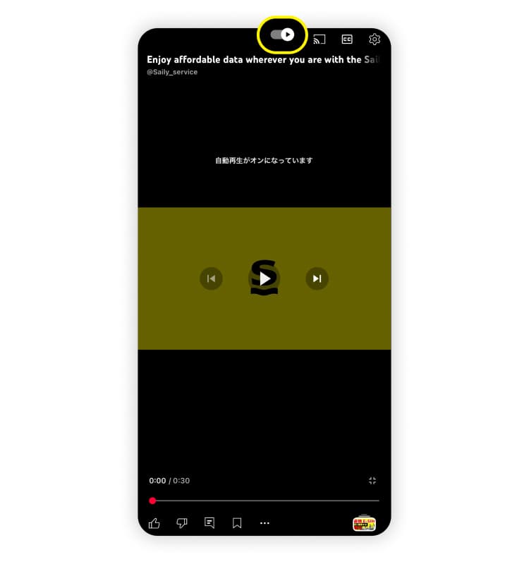 動画再生画面で自動再生ボタンを確認します。