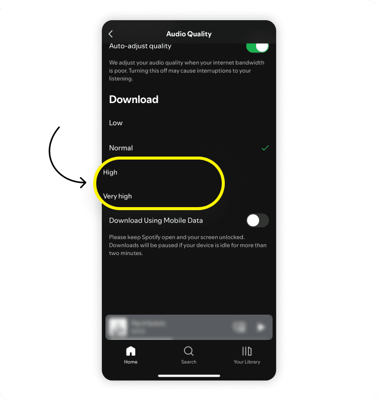 How to download Spotify music for offline listening: step 2
