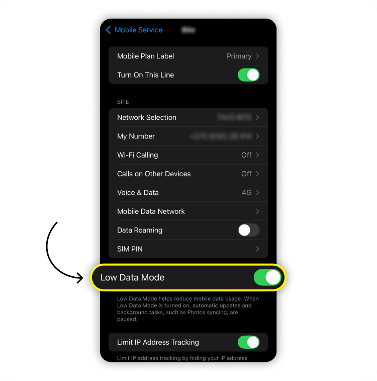 Enable low data mode on iPhone: step 3