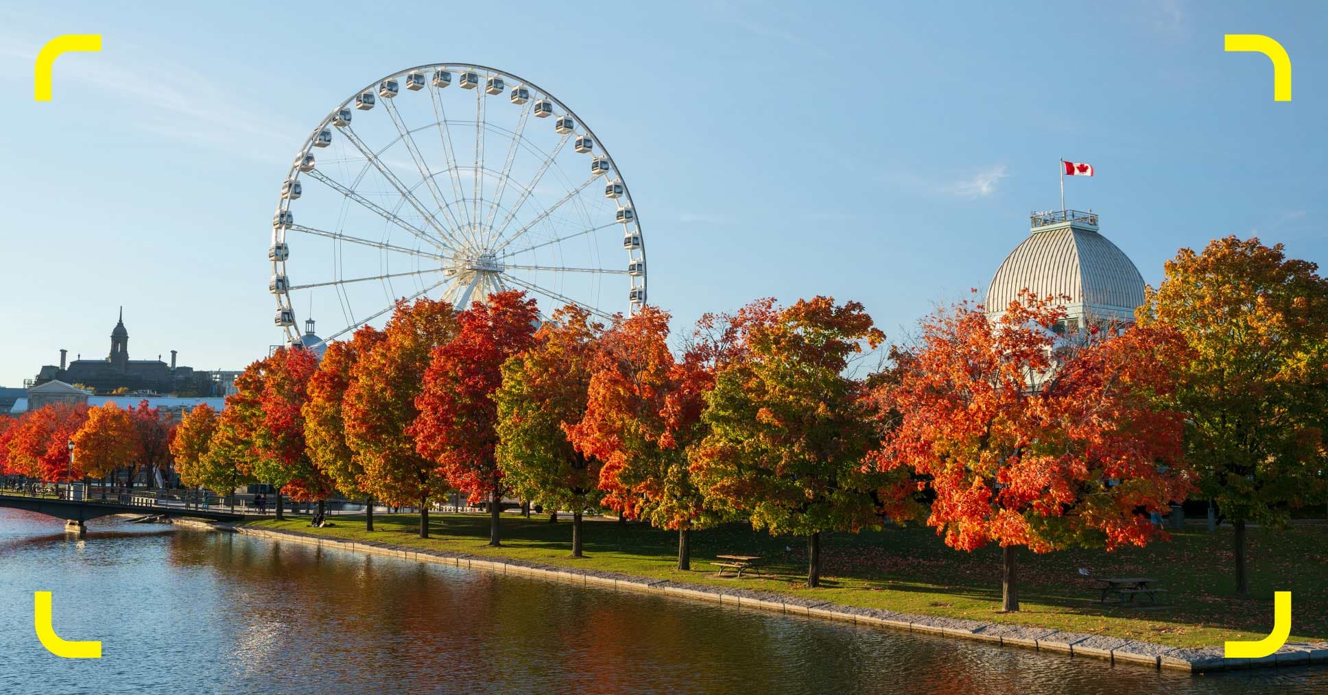 Pocket Wi-Fi for Canada: How it works and alternative internet options for your trip