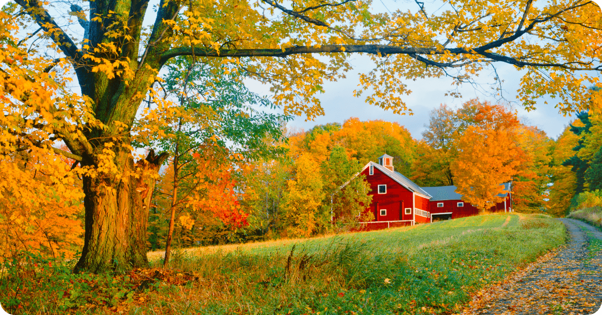 Autumn leaves fall from trees around a red house.