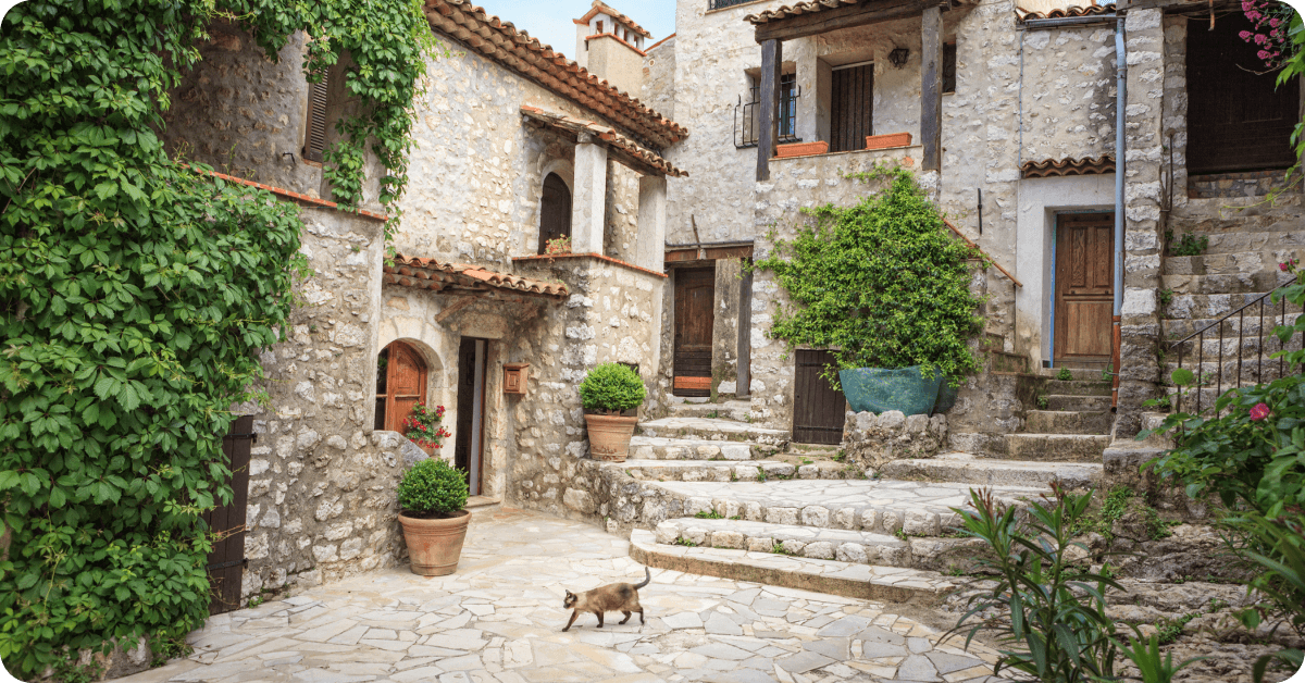 A cat walks across the street in a quiet French village.